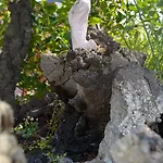 Casa Di Mari לינה וארוחת בוקר Aci SantʼAntonio
